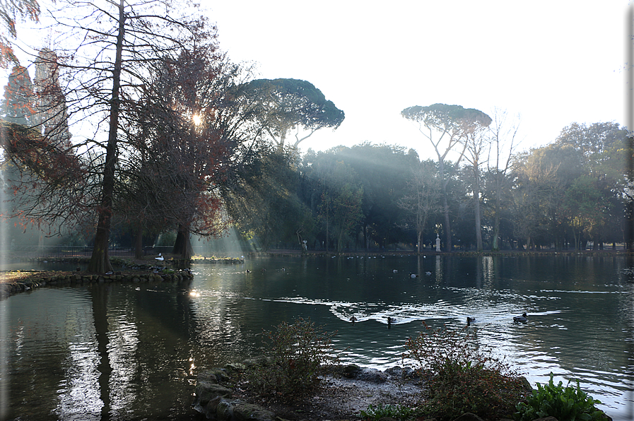 foto Parco di Villa Borghese